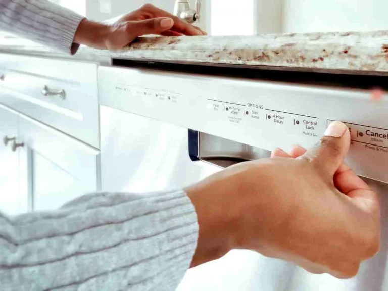 معنی کلمات روی ماشین ظرفشویی ایندزیت