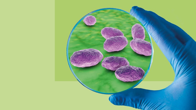هموفیلوس آنفلوآنزا نوع b (Hib): شناخت، پیشگیری و درمان