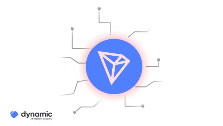 همکاری ترون و داینامیک برای تسهیل توسعه اپلیکیشن‌ های بلاک‌ چینی