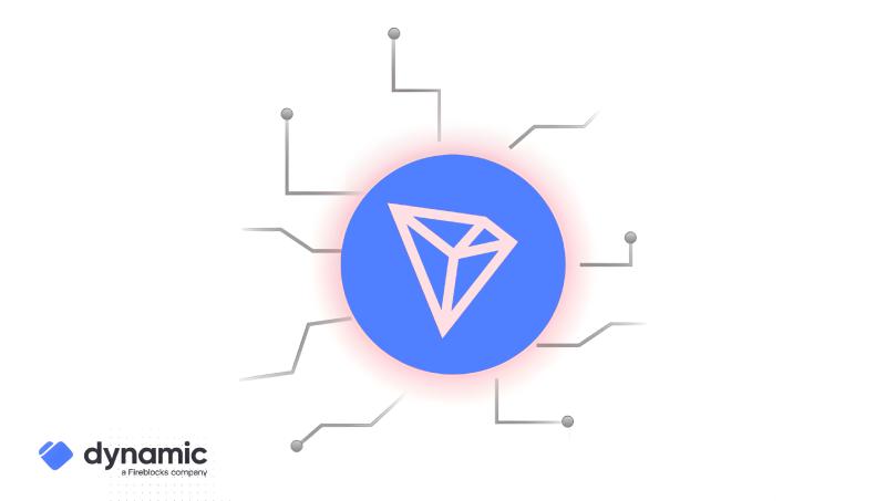 همکاری ترون و داینامیک برای تسهیل توسعه اپلیکیشن‌ های بلاک‌ چینی